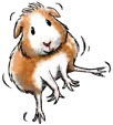 guinea pig