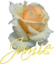 Jamie-Rose