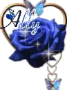 Ally blue rose
