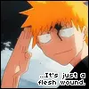 Bleach