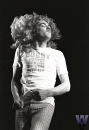  Robert Plant