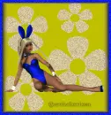 Playboy Bunny