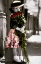 My roses