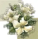 white flowers
