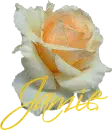 Jamie-Rose