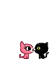 cat love