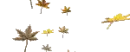 fall