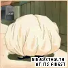 ninja  stealth at its finest