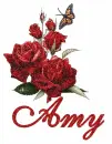 Amy