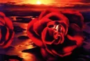 lover sin