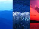mixed seasons
