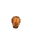 flipping hamster