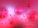 berryberry