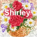 Shirley