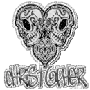 christopher glitter skull
