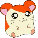 hamtaro