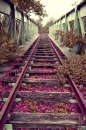 The way to my world