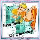 Save Time....See It My Way