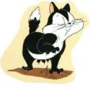 pussyfoot