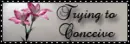 trying to conceive