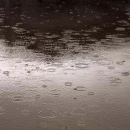 rain drops