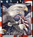 remember 9-11