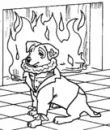 WISHBONE!!!!!!
