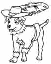 WISHBONE!!!!!!