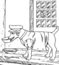 WISHBONE!!!!!!