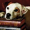 WISHBONE!!!!!!