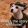 WISHBONE!!!!!!