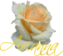 Arianna