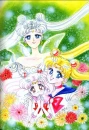 the moon family