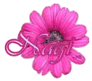 Nagi