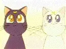 luna!! artemis!! why are you two dressed-up like me