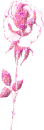 rose that says jennifer