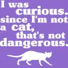 curious