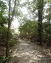 Pathway to the Light
