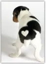 Sweet heart. <3 