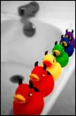 Devil.Ducks. :D
