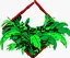 plants