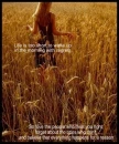 Field