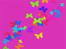 butterflies
