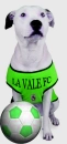 la vale doggie