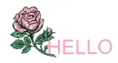 Hello