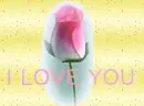 I love you