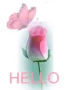 Hello