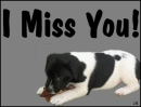 Miss you