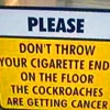 cockroaches? kay...