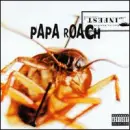 papa roach